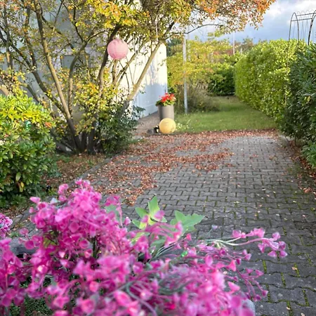 Schoene 2-zi-whg Kueche Bad Terrasse Parken Lägenhet Heusenstamm