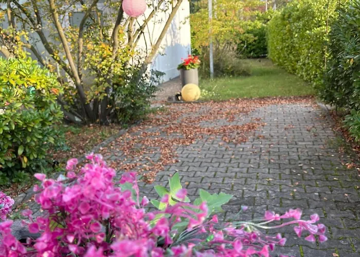 Schoene 2-zi-whg Kueche Bad Terrasse Parken Apartamento Heusenstamm